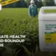 Glyphosate Health Risks, Roundup Lawsuit 2025, Glyphosate Cancer Lawsuit, Roundup Legal Claim, Non-Hodgkin’s Lymphoma Lawsuit, Roundup Settlement 2025, Monsanto Roundup Compensation