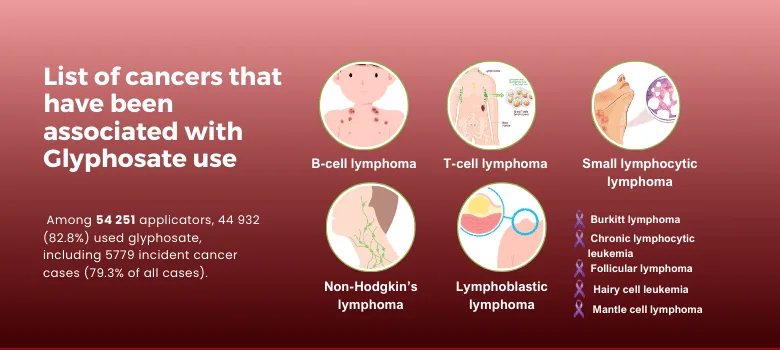 Glyphosate and Cancer Risks
